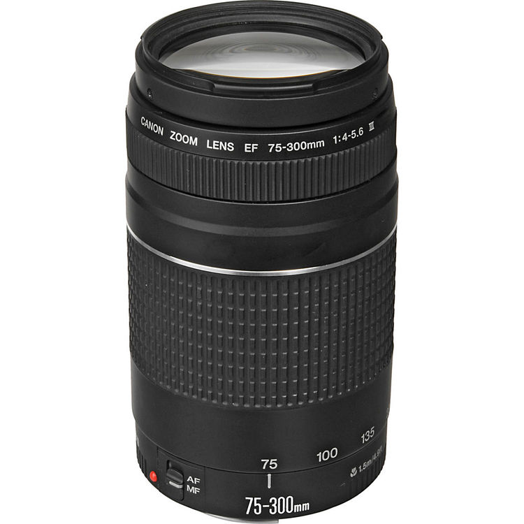 Canon EF 75-300mm f/4-5.6 III USM lens
