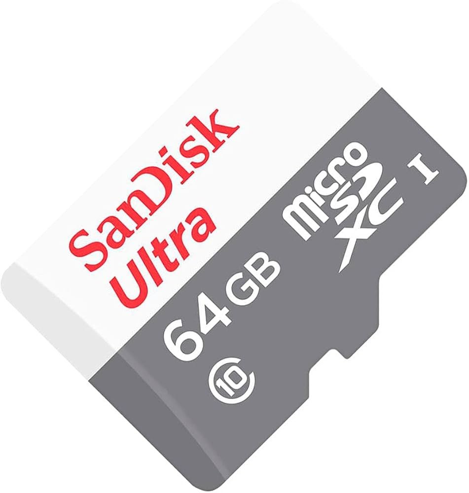 Sandisk Microsd Class 10 100mbps 64gb Without Adapter- Sdsqunr-064g-gn3mn
