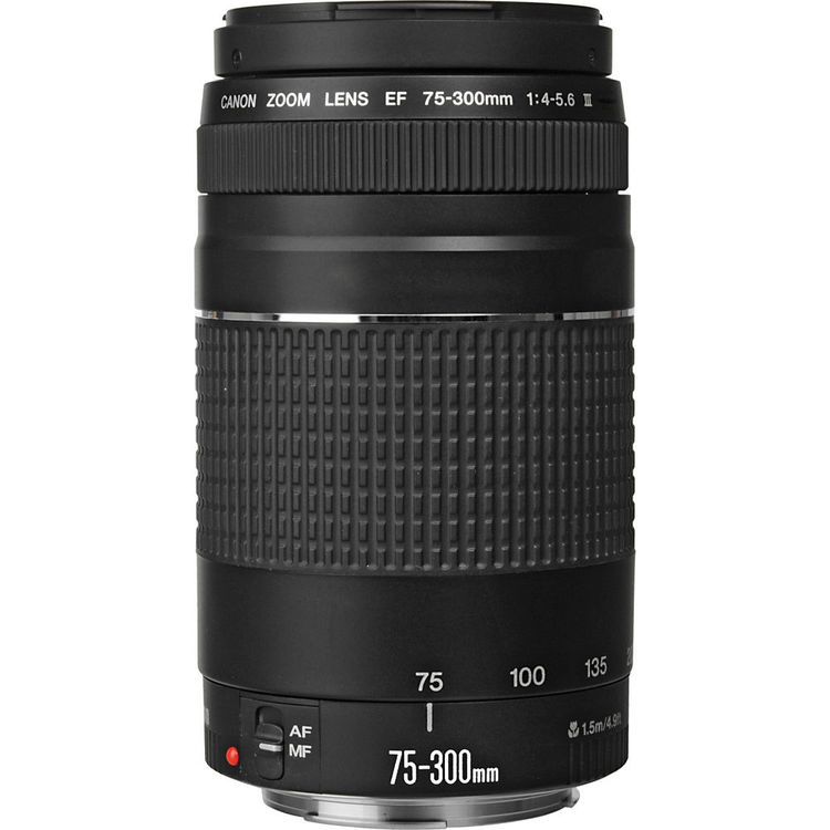 Canon EF 75-300mm f/4-5.6 III USM lens